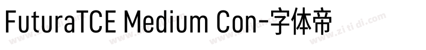 FuturaTCE Medium Con字体转换